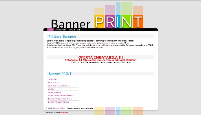 banner print 1.png